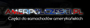Amerpolczęści.pl – Części do aut z USA