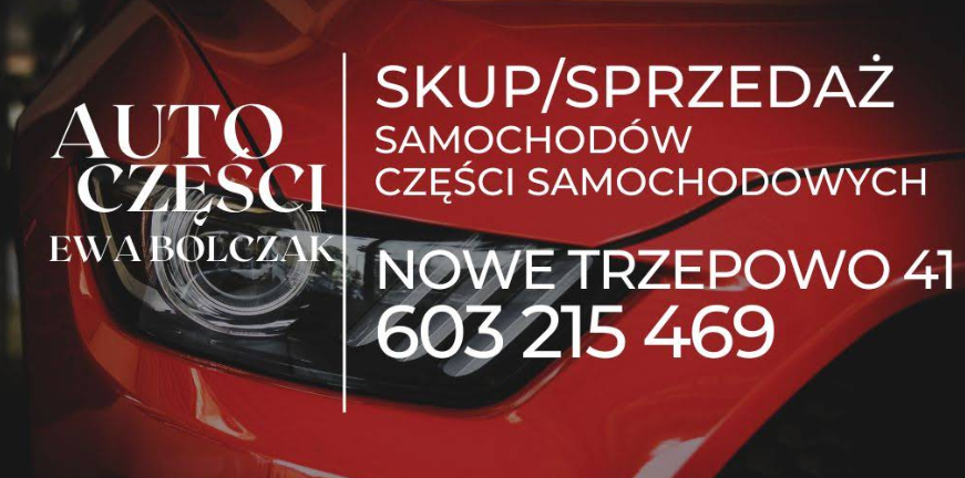 Auto Części Skup/Sprzedaż Części Samochodowych Trzepowo Ewa Bolczak