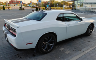coupe Dodge  Challenger Automatik R/T Plus 2019 White