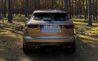 SUVs    Gray