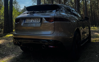 SUVs    Gray