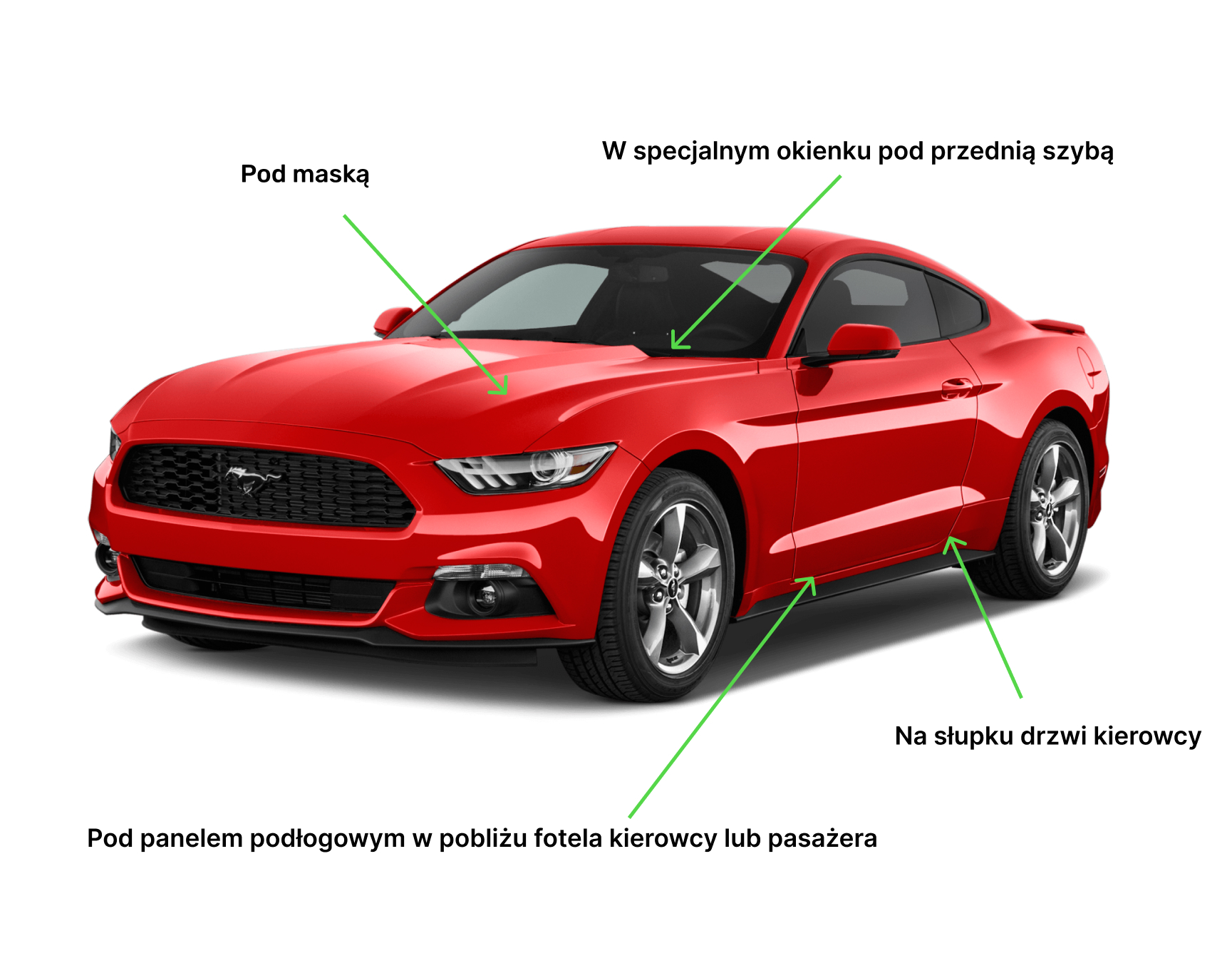 Czerwony samochód Ford Mustang ze strzałkami wskazującymi miejsca gdzie można znaleźć numer VIN Strzałki i podpisy określają następujące miejsca Pod maską W specjalnym okienku pod przednią szybą Na słupku drzwi kierowcy Pod panelem podłogowym w pobliżu fotela kierowcy lub pasażera