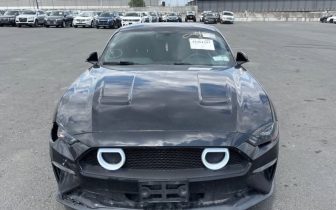 Coupet Ford Mustang 2019 Black